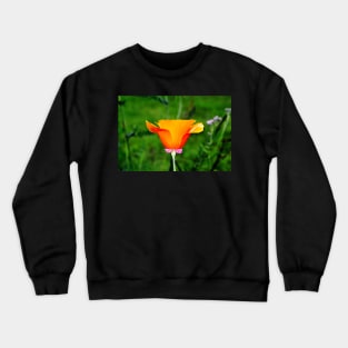 California Poppy Crewneck Sweatshirt